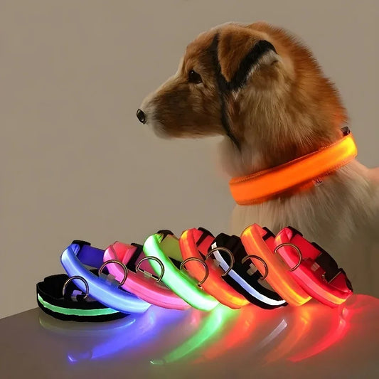 Collier LED pour chien - sport vitals